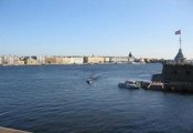 Город над вольной Невой !