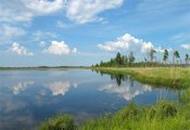 Отдых в Ленинградской области